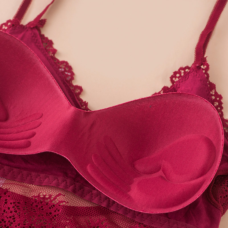3D Quần Lót Không Đường May Áo - đánh giá và giá Sheer Bra Lace