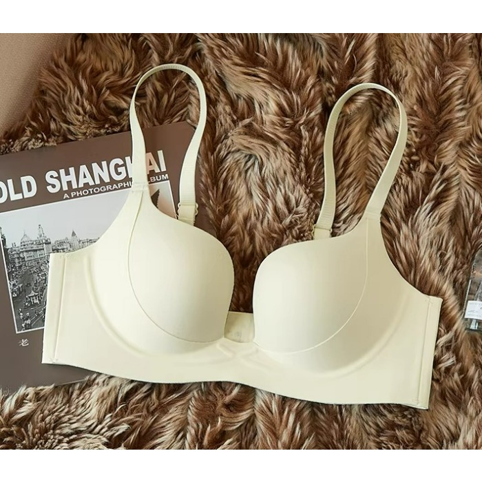 Small Boobs Push Up Bra Set Ha - đánh giá và giá T Shirt Bra Seamless